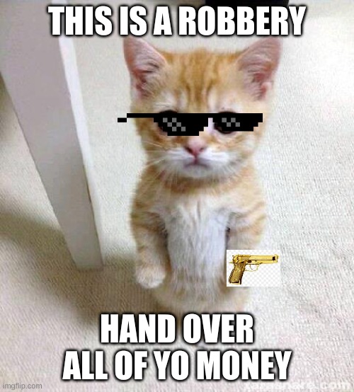 Cute Cat Meme | THIS IS A ROBBERY; HAND OVER ALL OF YO MONEY | image tagged in memes,cute cat | made w/ Imgflip meme maker