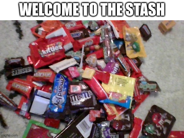 just finished trick-or-treating! | WELCOME TO THE STASH | image tagged in epic,funny,stonks | made w/ Imgflip meme maker