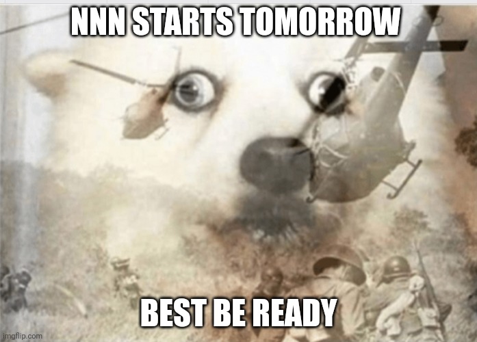 PTSD dog | NNN STARTS TOMORROW; BEST BE READY | image tagged in ptsd dog,nnn | made w/ Imgflip meme maker