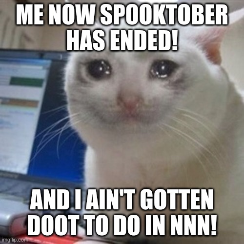 Unfortunately spooktober has ended! | ME NOW SPOOKTOBER HAS ENDED! AND I AIN'T GOTTEN DOOT TO DO IN NNN! | image tagged in crying cat | made w/ Imgflip meme maker