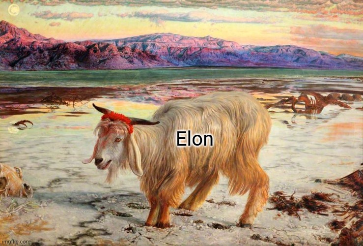 Just in case the elections don't go right. | Elon | made w/ Imgflip meme maker