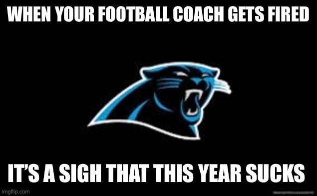 Carolina Panthers |  WHEN YOUR FOOTBALL COACH GETS FIRED; IT’S A SIGH THAT THIS YEAR SUCKS | image tagged in carolina panthers | made w/ Imgflip meme maker