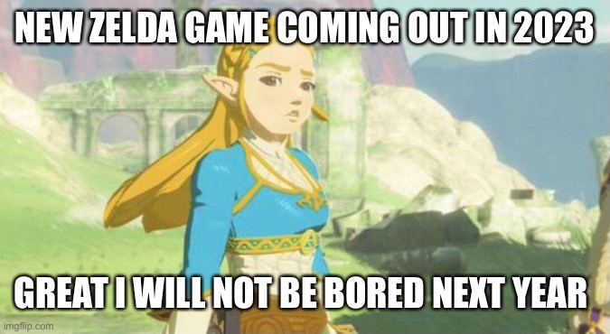 Judging zelda |  NEW ZELDA GAME COMING OUT IN 2023; GREAT I WILL NOT BE BORED NEXT YEAR | image tagged in judging zelda | made w/ Imgflip meme maker