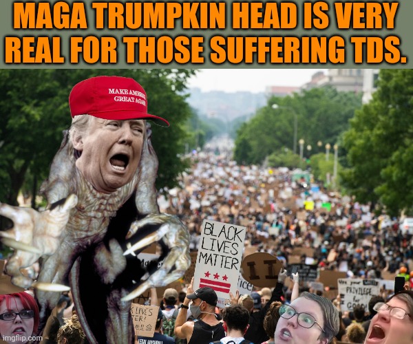MAGA TRUMPKIN HEAD IS VERY REAL FOR THOSE SUFFERING TDS. | made w/ Imgflip meme maker