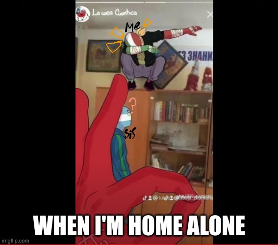 WHEN I'M HOME ALONE | image tagged in countryhumans | made w/ Imgflip meme maker