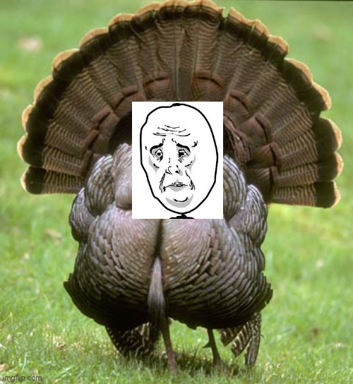 Turkey Meme | image tagged in memes,turkey | made w/ Imgflip meme maker