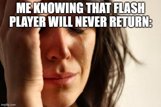 goodbye childhood | ME KNOWING THAT FLASH PLAYER WILL NEVER RETURN: | image tagged in memes,first world problems | made w/ Imgflip meme maker