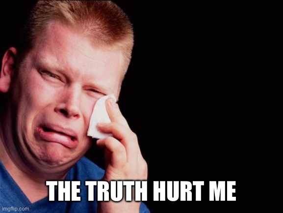 cry | THE TRUTH HURT ME | image tagged in cry | made w/ Imgflip meme maker