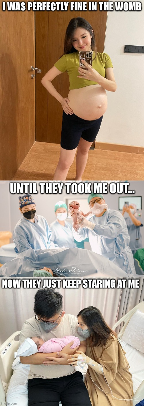 From the belly to birth to baby | I WAS PERFECTLY FINE IN THE WOMB; UNTIL THEY TOOK ME OUT... NOW THEY JUST KEEP STARING AT ME | image tagged in pregnancy,birth,babies | made w/ Imgflip meme maker