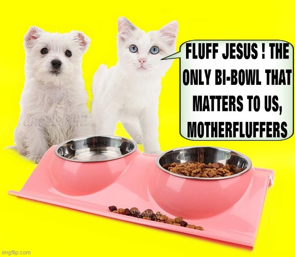 image tagged in dog,cat,bible,myths,pets,bi bowl | made w/ Imgflip meme maker