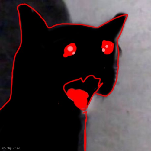 Crying auditor cat | image tagged in crying auditor cat | made w/ Imgflip meme maker