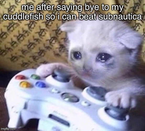 its so sad all the time :( | me after saying bye to my cuddlefish so i can beat subnautica | image tagged in sad gamer cat | made w/ Imgflip meme maker