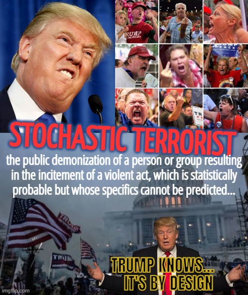 trump the STOCHASTIC TERRORIST and his brainwashed brownshirt bitches... | STOCHASTIC TERRORIST; the public demonization of a person or group resulting
in the incitement of a violent act, which is statistically
probable but whose specifics cannot be predicted... TRUMP KNOWS...  
 IT'S BY DESIGN | image tagged in donald trump,misconstrued coup,terrorist,war on terror,yeah right,bullshit | made w/ Imgflip meme maker