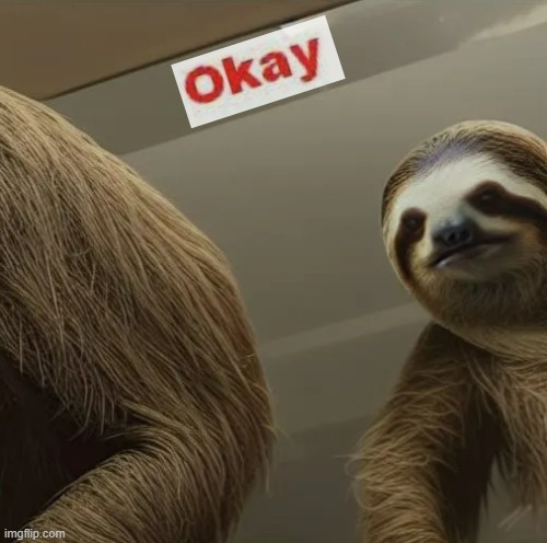 sloth looking in mirror okay | image tagged in sloth looking in mirror okay | made w/ Imgflip meme maker