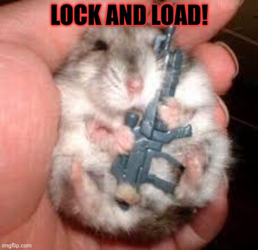 Locked and loaded | LOCK AND LOAD! | image tagged in locked and loaded | made w/ Imgflip meme maker