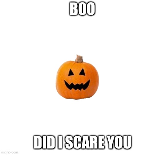 haha you got scared | BOO; DID I SCARE YOU | image tagged in spooky month | made w/ Imgflip meme maker