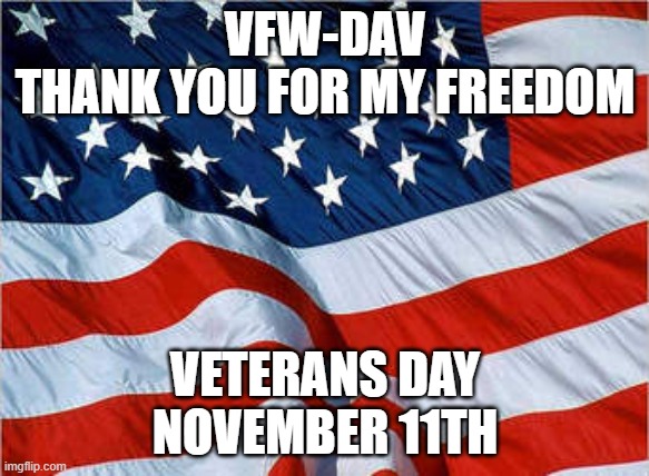 Thank a Veteran | VFW-DAV
THANK YOU FOR MY FREEDOM; VETERANS DAY
NOVEMBER 11TH | image tagged in usa flag | made w/ Imgflip meme maker