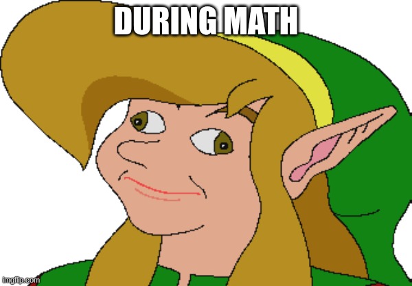 Derp Link | DURING MATH | image tagged in derp link | made w/ Imgflip meme maker