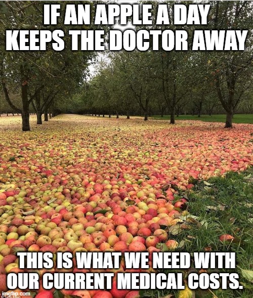 Either that or a portal gun to Spain and Mexico to have procedures done cheaper-hopefully just as good. | IF AN APPLE A DAY KEEPS THE DOCTOR AWAY; THIS IS WHAT WE NEED WITH OUR CURRENT MEDICAL COSTS. | made w/ Imgflip meme maker