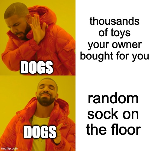 Drake Hotline Bling | thousands of toys your owner bought for you; DOGS; random sock on the floor; DOGS | image tagged in memes,drake hotline bling | made w/ Imgflip meme maker