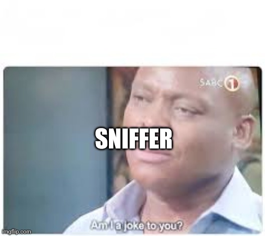 I am a joke to you? | SNIFFER | image tagged in i am a joke to you | made w/ Imgflip meme maker