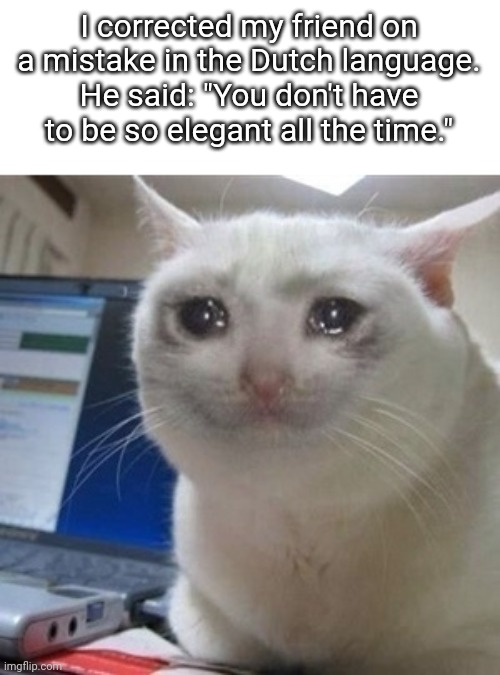 Am very sad. | I corrected my friend on a mistake in the Dutch language.
He said: "You don't have to be so elegant all the time." | image tagged in crying cat | made w/ Imgflip meme maker