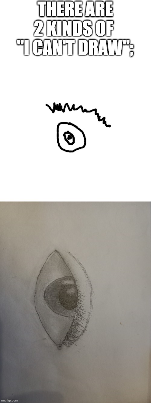 I did both | THERE ARE 2 KINDS OF 
"I CAN'T DRAW"; | made w/ Imgflip meme maker