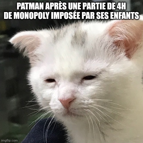 I'm awake, but at what cost? | PATMAN APRÈS UNE PARTIE DE 4H DE MONOPOLY IMPOSÉE PAR SES ENFANTS | image tagged in i'm awake but at what cost | made w/ Imgflip meme maker