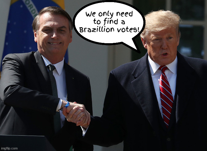 A Brazillion votes... | We only need to find a Brazillion votes! | image tagged in bolsanaro,donald trump,votes,brazil,maga | made w/ Imgflip meme maker