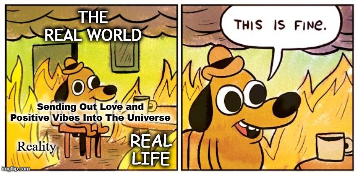Sending Out Positive Vibes Into The Universe | THE REAL WORLD; Sending Out Love and Positive Vibes Into The Universe; Reality; REAL LIFE | image tagged in memes,this is fine,positive vibes,sending out positive energy,reality,real life | made w/ Imgflip meme maker