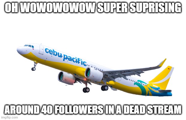 e |  OH WOWOWOWOW SUPER SUPRISING; AROUND 40 FOLLOWERS IN A DEAD STREAM | image tagged in cebu pacific a320neo | made w/ Imgflip meme maker