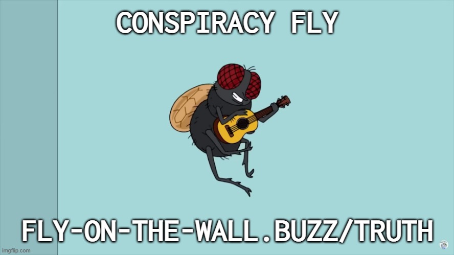 conspiracy fly | CONSPIRACY FLY; FLY-ON-THE-WALL.BUZZ/TRUTH | image tagged in conspiracy fly,family guy | made w/ Imgflip meme maker