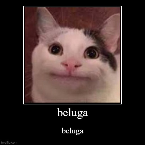 beluga | image tagged in funny,demotivationals | made w/ Imgflip demotivational maker