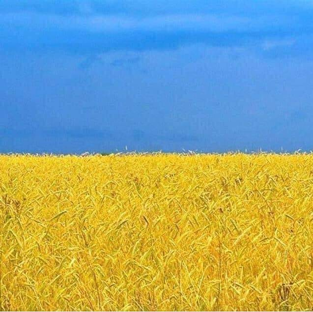 wheat field + sky = Ucraina Blank Meme Template