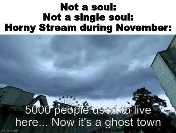 a shitpost | Not a soul:
Not a single soul:
Horny Stream during November: | image tagged in call of duty 4 modern warfare opening cutscene meme,memes,shitpost,unfunny,oh wow are you actually reading these tags | made w/ Imgflip meme maker