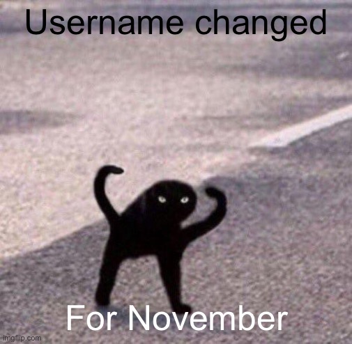 Cursed cat temp | Username changed; For November | image tagged in cursed cat temp | made w/ Imgflip meme maker