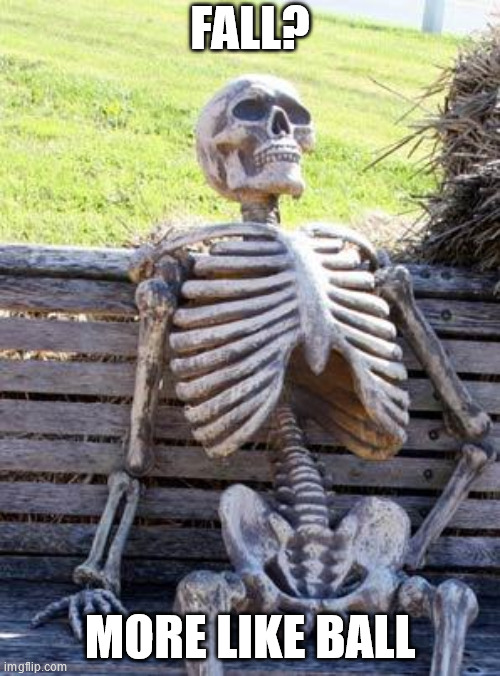 Waiting Skeleton Meme | FALL? MORE LIKE BALL | image tagged in memes,waiting skeleton | made w/ Imgflip meme maker