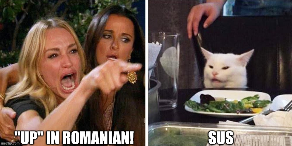 Smudge the cat |  "UP" IN ROMANIAN! SUS | image tagged in smudge the cat | made w/ Imgflip meme maker