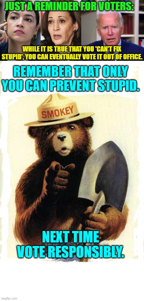 It never hurts to be reminded. | JUST A REMINDER FOR VOTERS:; WHILE IT IS TRUE THAT YOU 'CAN'T FIX STUPID', YOU CAN EVENTUALLY VOTE IT OUT OF OFFICE. REMEMBER THAT ONLY YOU CAN PREVENT STUPID. NEXT TIME VOTE RESPONSIBLY. | image tagged in wise bear | made w/ Imgflip meme maker