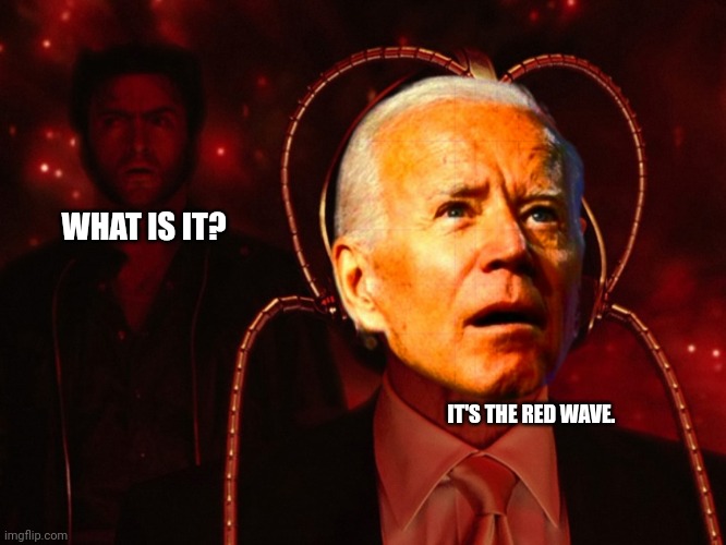 WHAT IS IT? IT'S THE RED WAVE. | made w/ Imgflip meme maker