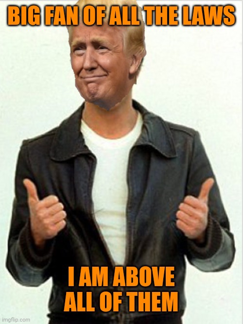 Fonzie Trump | BIG FAN OF ALL THE LAWS I AM ABOVE ALL OF THEM | image tagged in fonzie trump | made w/ Imgflip meme maker