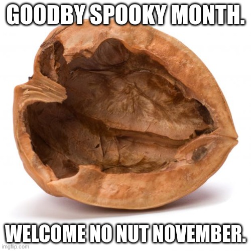 sad spooky noises |  GOODBY SPOOKY MONTH. WELCOME NO NUT NOVEMBER. | image tagged in nutshell | made w/ Imgflip meme maker