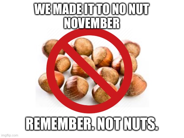 Not Nut November |  WE MADE IT TO NO NUT
NOVEMBER; REMEMBER. NOT NUTS. | image tagged in memes,no nut november,november,nuts,funny,imgflip | made w/ Imgflip meme maker