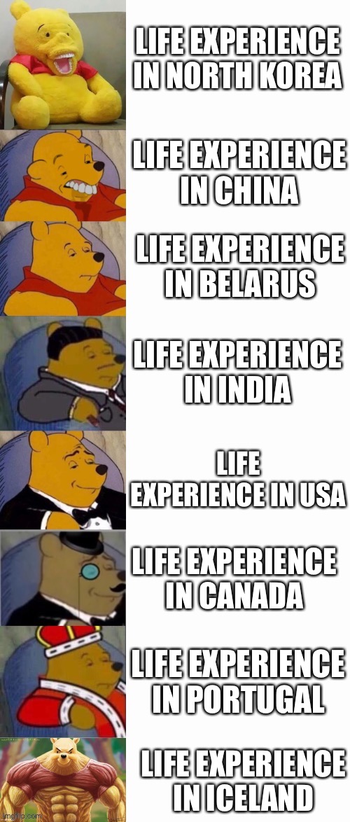 Life Experience in Diffirent Countries |  LIFE EXPERIENCE IN NORTH KOREA; LIFE EXPERIENCE IN CHINA; LIFE EXPERIENCE IN BELARUS; LIFE EXPERIENCE IN INDIA; LIFE EXPERIENCE IN USA; LIFE EXPERIENCE IN CANADA; LIFE EXPERIENCE IN PORTUGAL; LIFE EXPERIENCE IN ICELAND | image tagged in 8-panel winnie the pooh meme,memes,countries,life,best better blurst,tuxedo winnie the pooh | made w/ Imgflip meme maker