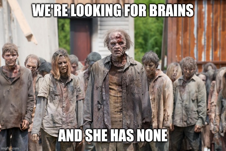 zombies | WE'RE LOOKING FOR BRAINS AND SHE HAS NONE | image tagged in zombies | made w/ Imgflip meme maker