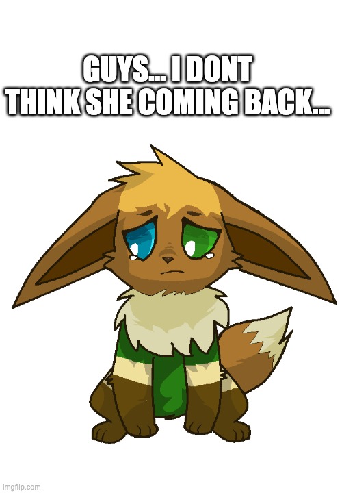 *she's* | GUYS... I DONT THINK SHE COMING BACK... | image tagged in sad leevee | made w/ Imgflip meme maker