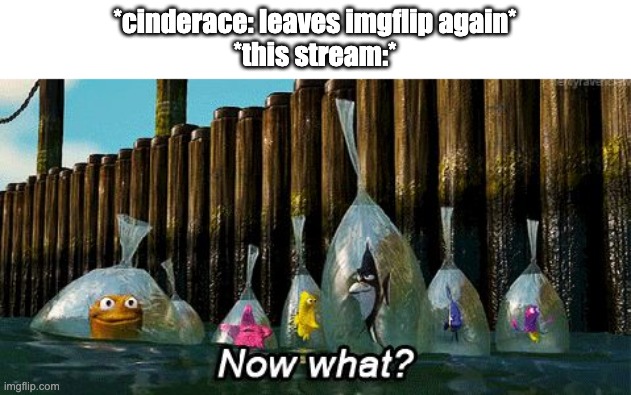 Now What? | *cinderace: leaves imgflip again*
*this stream:* | image tagged in now what | made w/ Imgflip meme maker