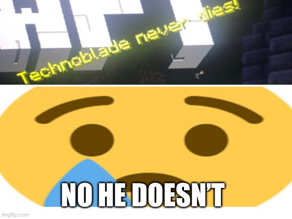 I thank mojang personally | NO HE DOESN’T | image tagged in technoblade,minecraft | made w/ Imgflip meme maker