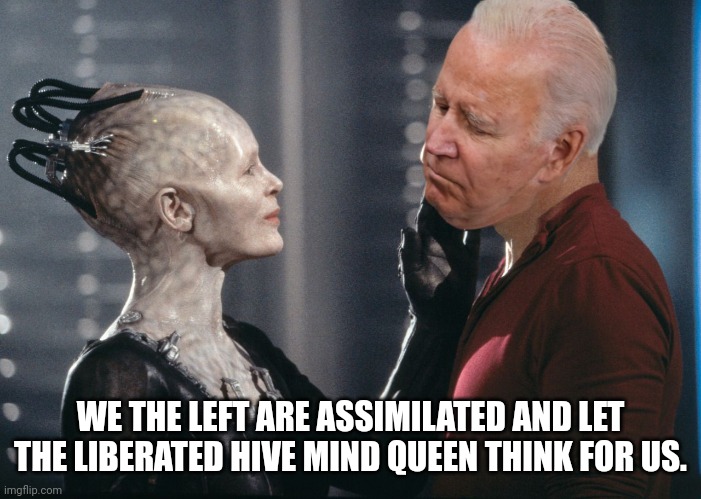 WE THE LEFT ARE ASSIMILATED AND LET THE LIBERATED HIVE MIND QUEEN THINK FOR US. | made w/ Imgflip meme maker