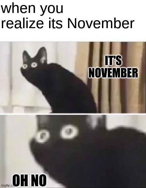 the curse of November | when you realize its November; IT'S NOVEMBER; OH NO | image tagged in oh no black cat | made w/ Imgflip meme maker